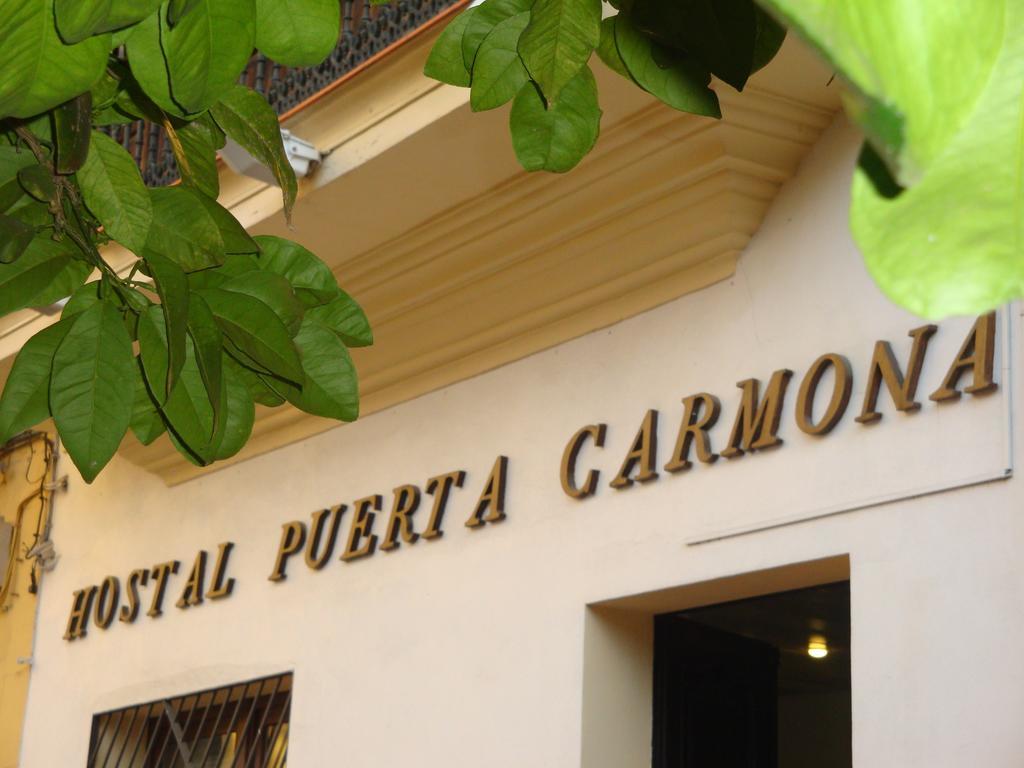 Hostal Puerta Carmona Σεβίλλη Εξωτερικό φωτογραφία